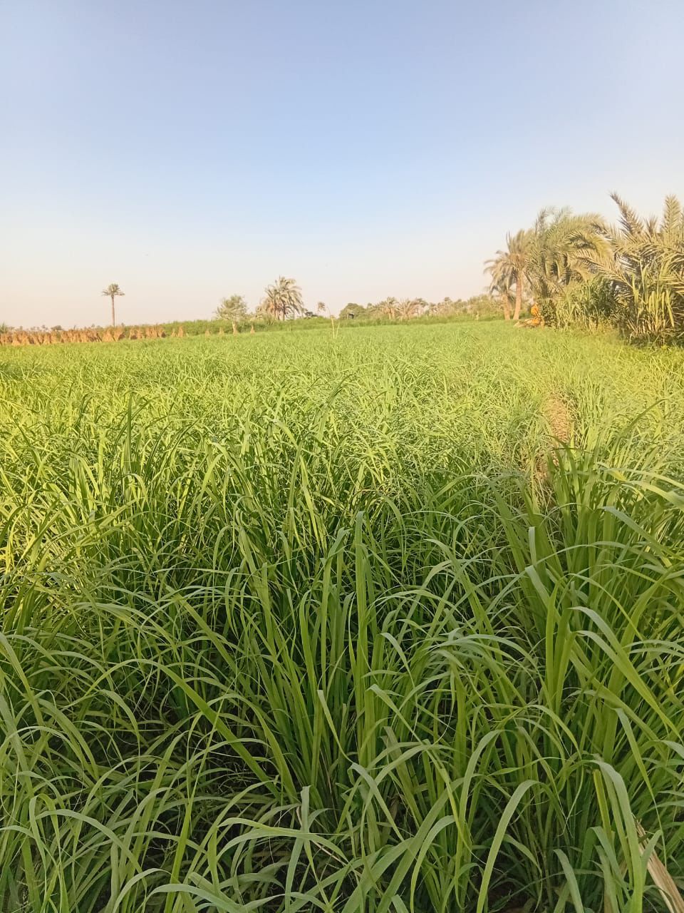 Our Farm Facilitiess